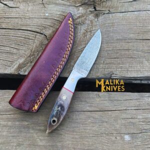 “Exceptional Damascus Steel Skinner Knife with Genuine Ram Horn Handle – Ultimate Precision for Hunting and Outdoor Enthusiasts-0026