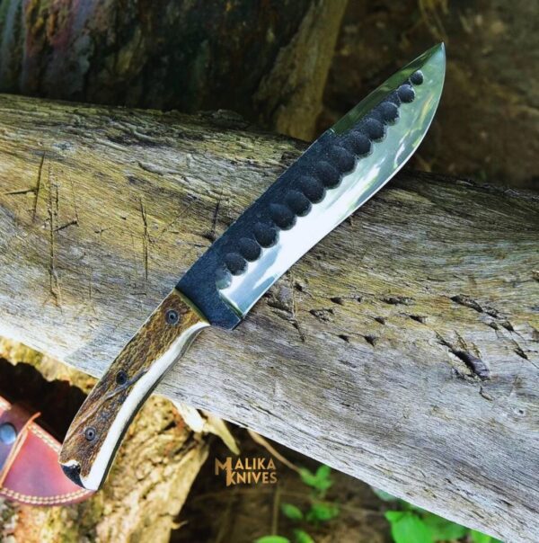 Stag Seeker Hunting Knife