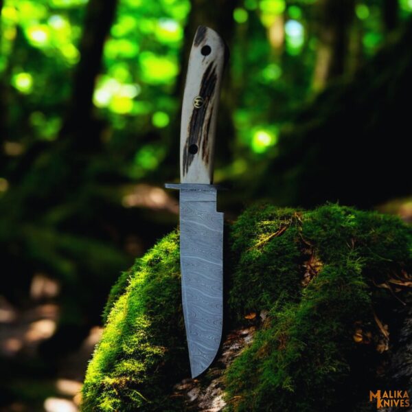 Damascus Stag bowie knife