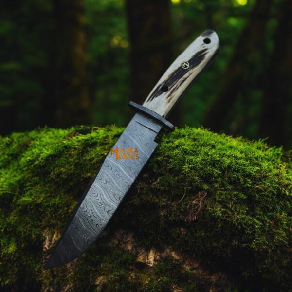 Damascus Stag bowie knife