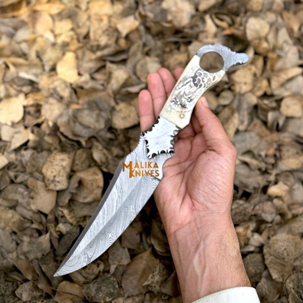 Tough EDC Ride Hard Biker Ringtail Knife gleaming under the sun, ready for the road